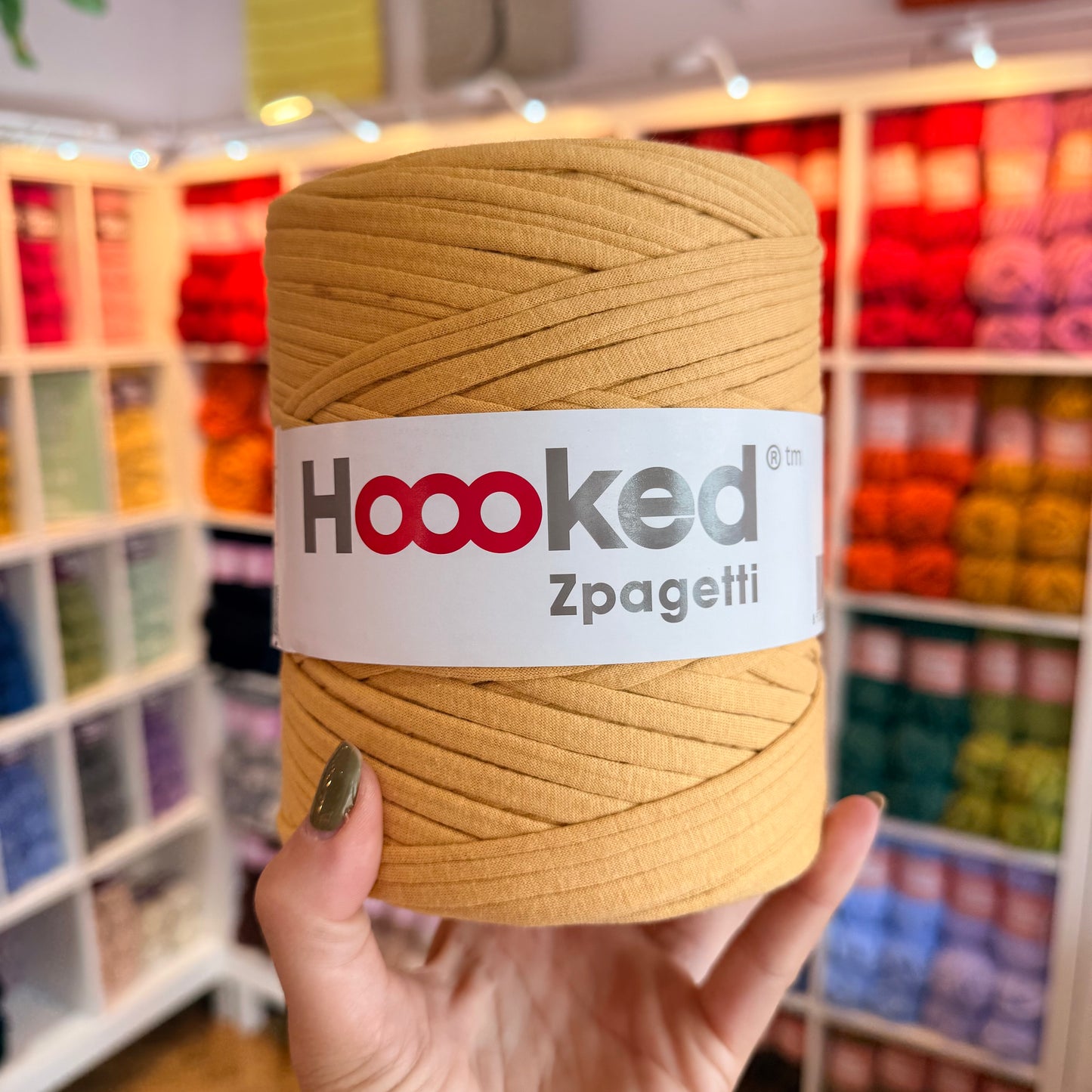 HOOOKED - Zpagetti
