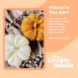 Pumpkin Knit Kit