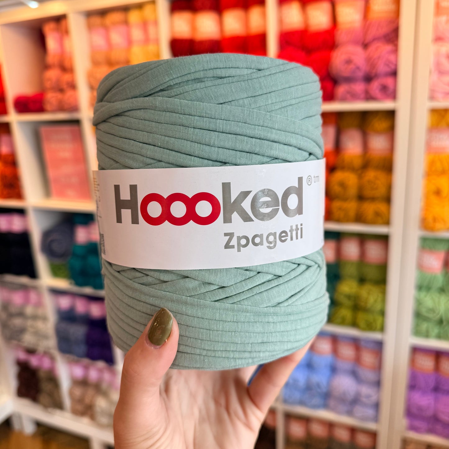 HOOOKED - Zpagetti
