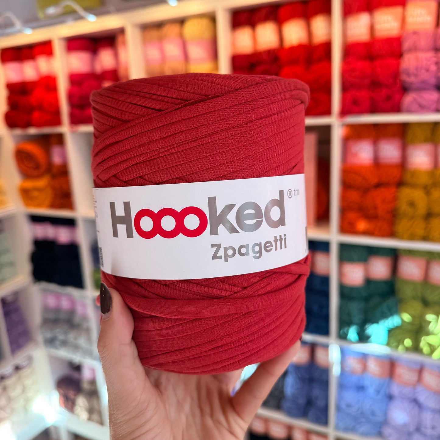 HOOOKED - Zpagetti