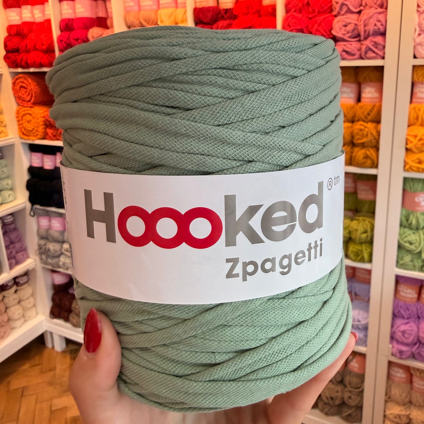 HOOOKED - Zpagetti