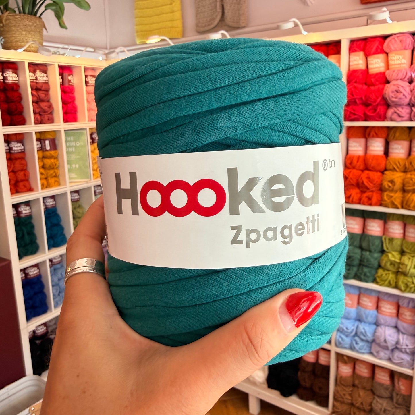 HOOOKED - Zpagetti