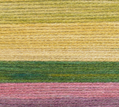 James C Brett Aurora Chunky | chunky self striping yarn