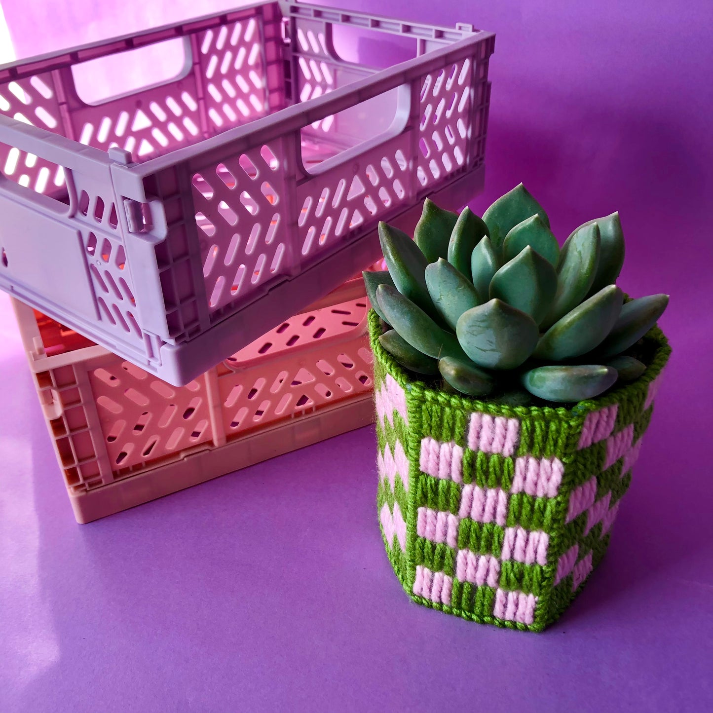 Bargello checkerboard mini planter kit